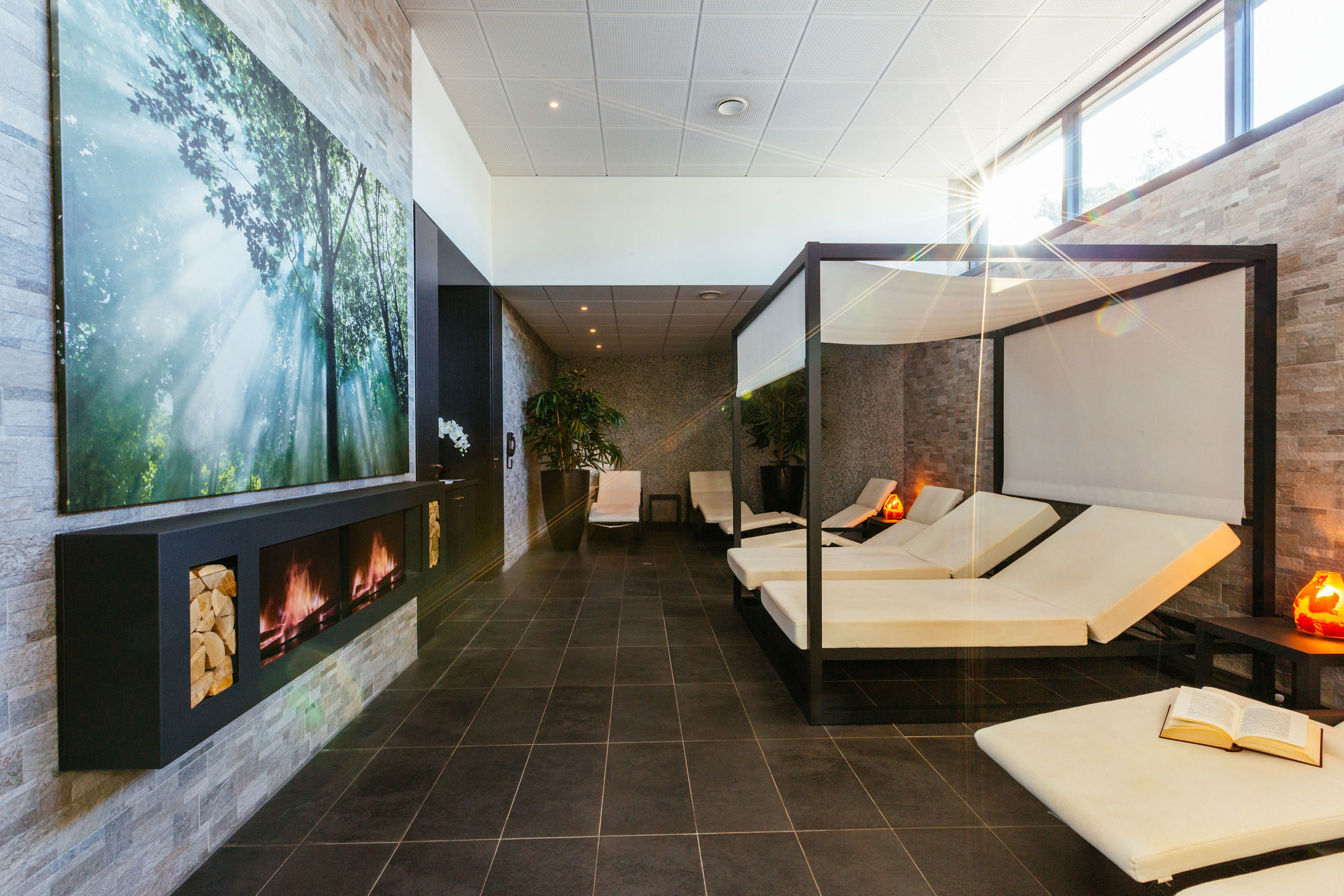 Hotel Restaurant Athena Spa Strasbourg Facilities photo